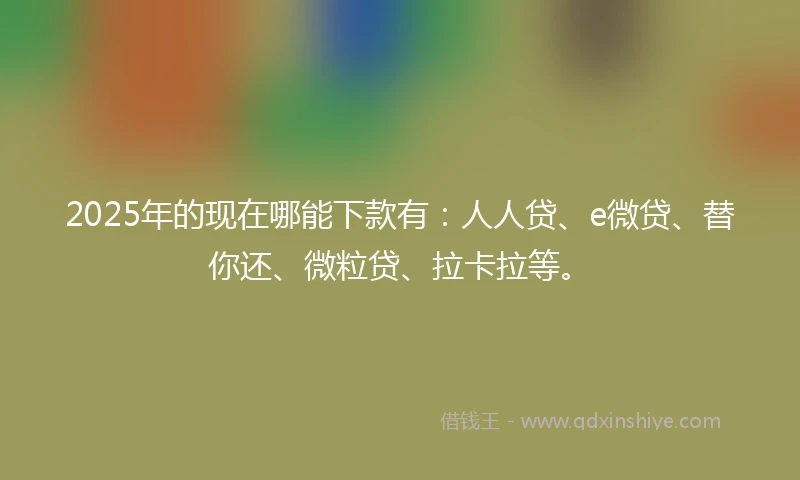2025年的现在哪能下款有：人人贷、e微贷、替你还、微粒贷、拉卡拉等。