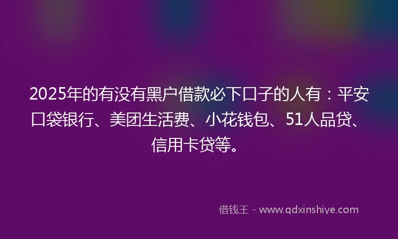 2025年的有没有黑户借款必下口子的人有：平安口袋银行、美团生活费、小花钱包、51人品贷、信用卡贷等。