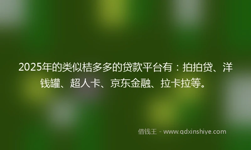 2025年的类似桔多多的贷款平台有：拍拍贷、洋钱罐、超人卡、京东金融、拉卡拉等。