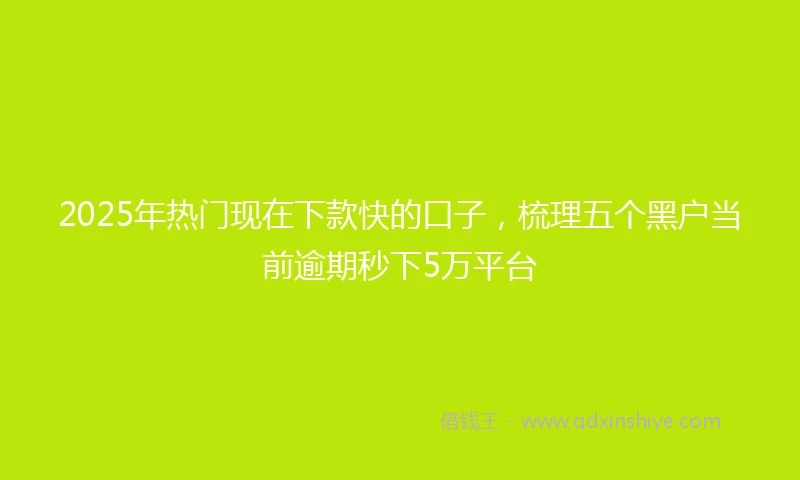 2025年热门现在下款快的口子，梳理五个黑户当前逾期秒下5万平台