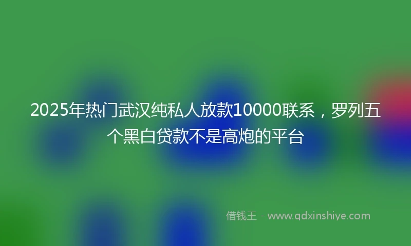 2025年热门武汉纯私人放款10000联系，罗列五个黑白贷款不是高炮的平台