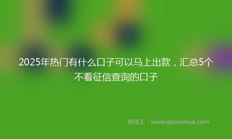 2025年热门有什么口子可以马上出款，汇总5个不看征信查询的口子
