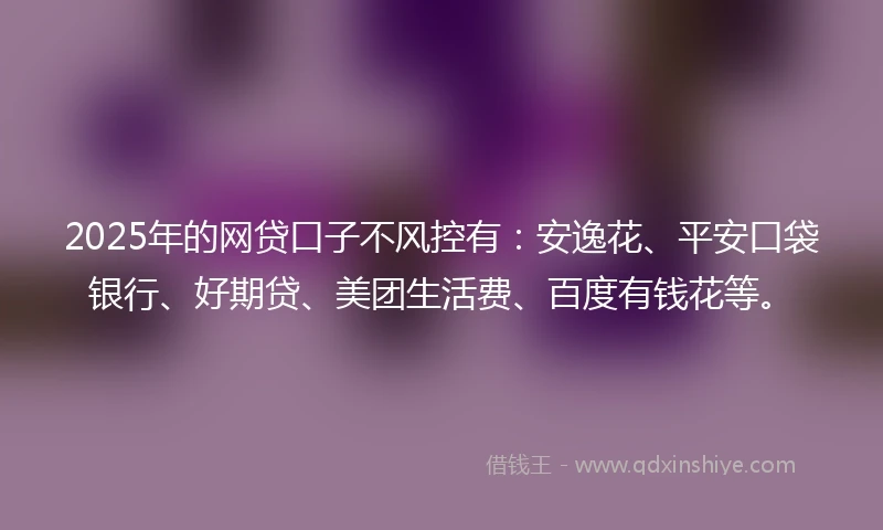 2025年的网贷口子不风控有：安逸花、平安口袋银行、好期贷、美团生活费、百度有钱花等。