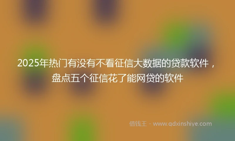 2025年热门有没有不看征信大数据的贷款软件，盘点五个征信花了能网贷的软件