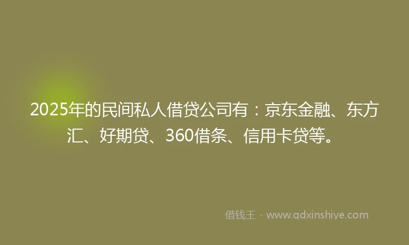 2025年的民间私人借贷公司有：京东金融、东方汇、好期贷、360借条、信用卡贷等。