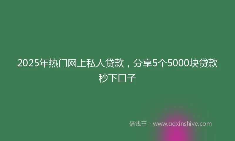 2025年热门网上私人贷款，分享5个5000块贷款秒下口子