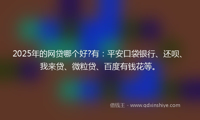 2025年的网贷哪个好?有：平安口袋银行、还呗、我来贷、微粒贷、百度有钱花等。