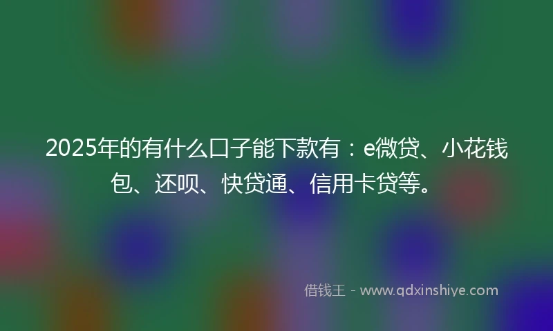 2025年的有什么口子能下款有：e微贷、小花钱包、还呗、快贷通、信用卡贷等。