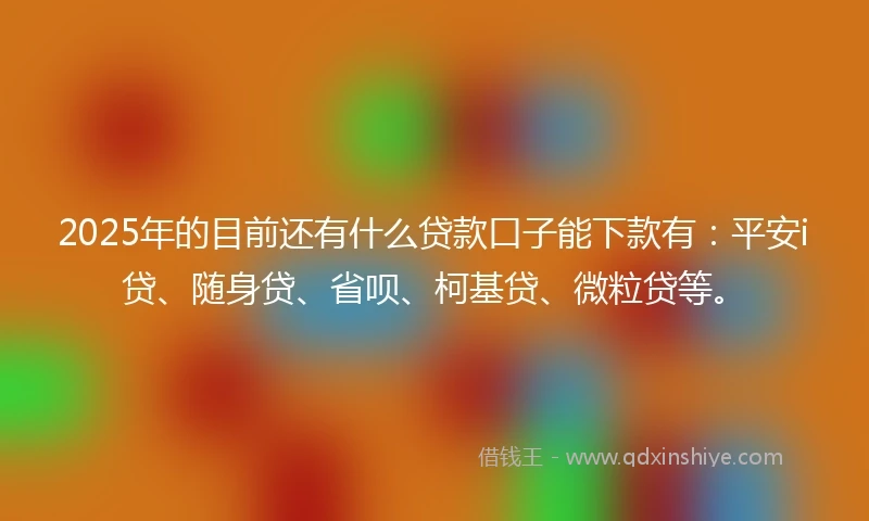 2025年的目前还有什么贷款口子能下款有：平安i贷、随身贷、省呗、柯基贷、微粒贷等。