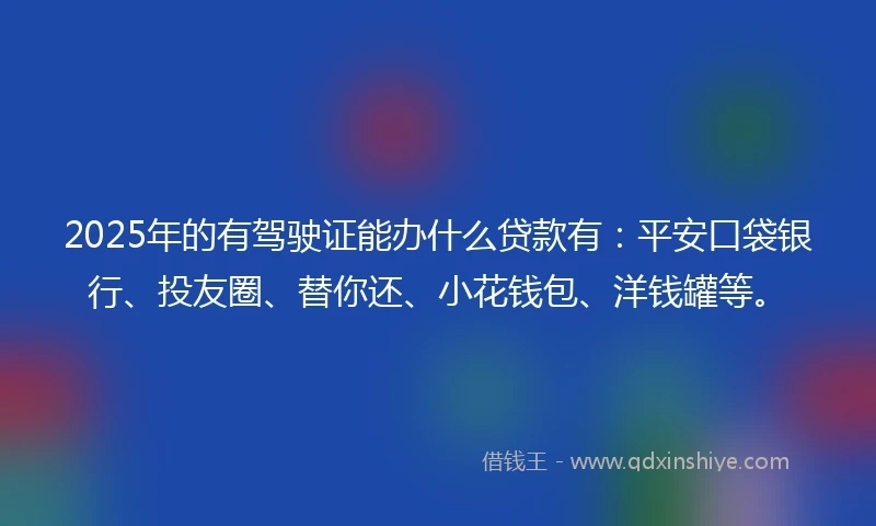 2025年的有驾驶证能办什么贷款有：平安口袋银行、投友圈、替你还、小花钱包、洋钱罐等。