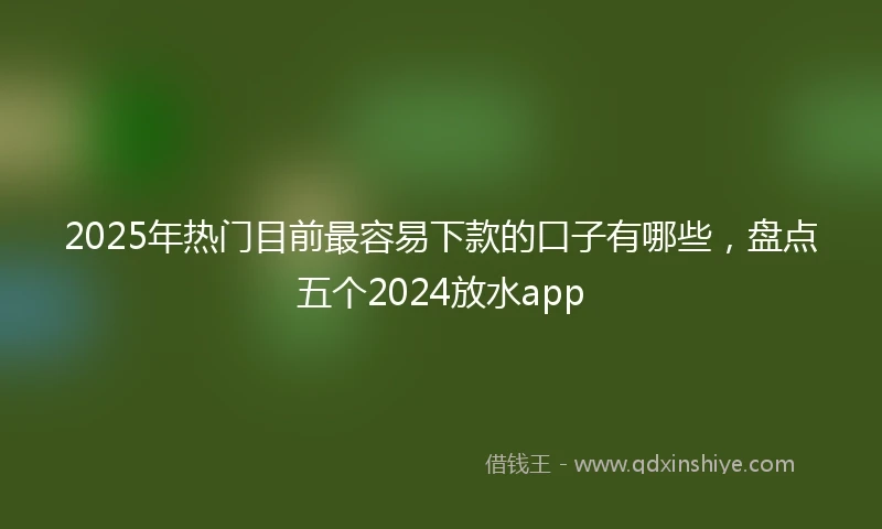2025年热门目前最容易下款的口子有哪些，盘点五个2024放水app