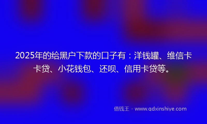 2025年的给黑户下款的口子有：洋钱罐、维信卡卡贷、小花钱包、还呗、信用卡贷等。