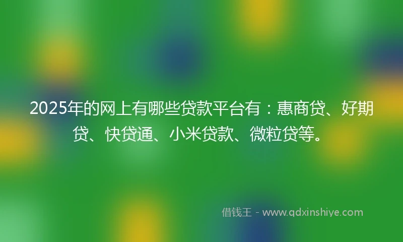 2025年的网上有哪些贷款平台有：惠商贷、好期贷、快贷通、小米贷款、微粒贷等。