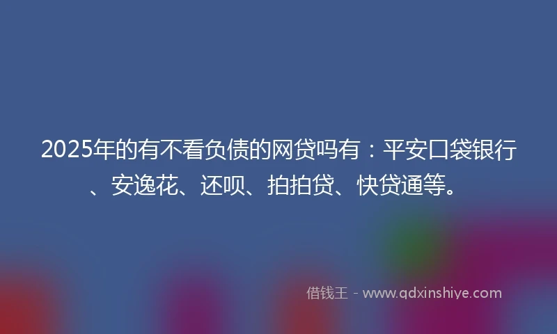 2025年的有不看负债的网贷吗有：平安口袋银行、安逸花、还呗、拍拍贷、快贷通等。
