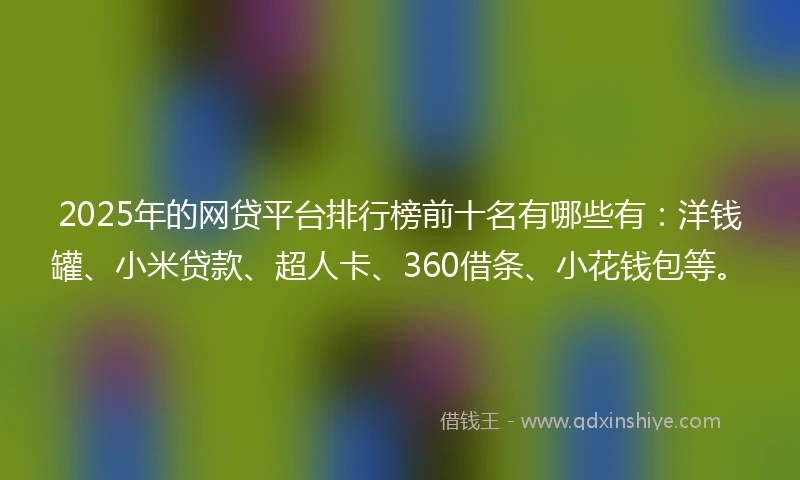 2025年的网贷平台排行榜前十名有哪些有：洋钱罐、小米贷款、超人卡、360借条、小花钱包等。