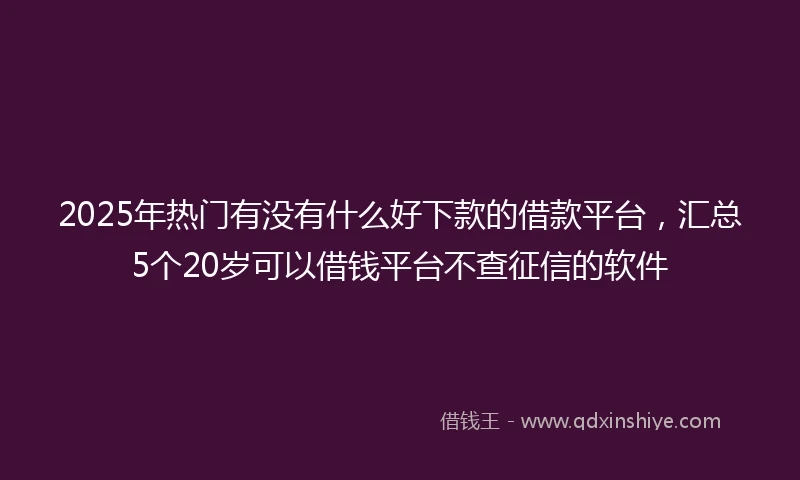 2025年热门有没有什么好下款的借款平台，汇总5个20岁可以借钱平台不查征信的软件