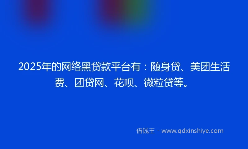 2025年的网络黑贷款平台有：随身贷、美团生活费、团贷网、花呗、微粒贷等。