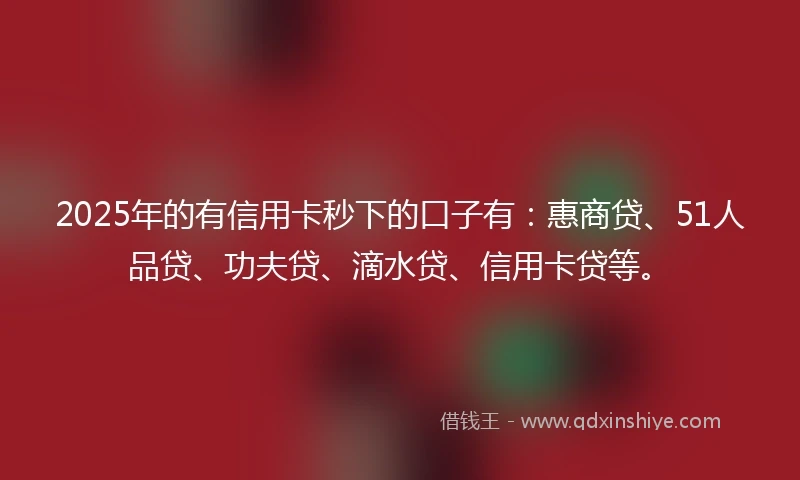 2025年的有信用卡秒下的口子有：惠商贷、51人品贷、功夫贷、滴水贷、信用卡贷等。