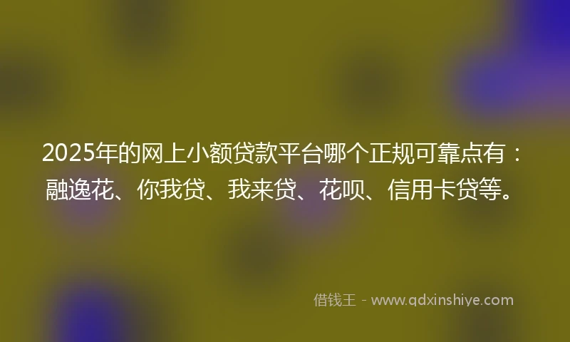 2025年的网上小额贷款平台哪个正规可靠点有：融逸花、你我贷、我来贷、花呗、信用卡贷等。