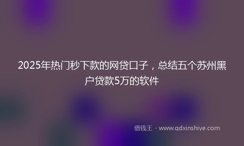 2025年热门秒下款的网贷口子，总结五个苏州黑户贷款5万的软件