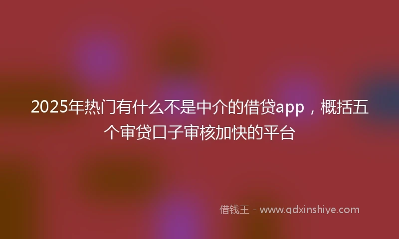 2025年热门有什么不是中介的借贷app，概括五个审贷口子审核加快的平台