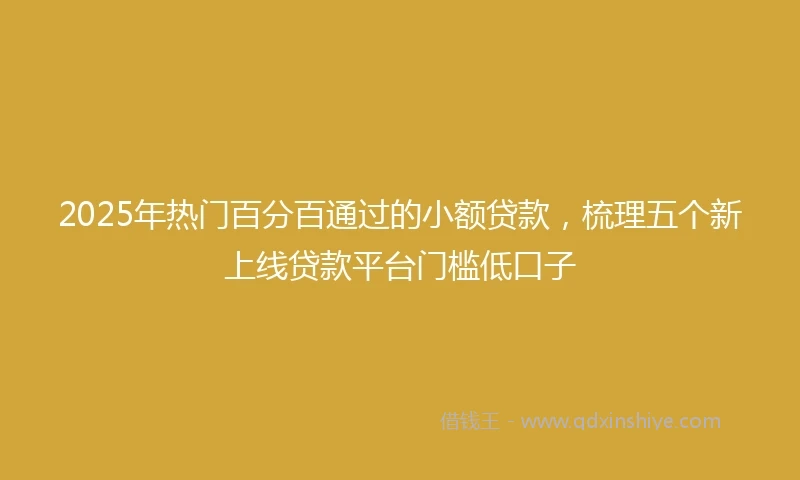 2025年热门百分百通过的小额贷款，梳理五个新上线贷款平台门槛低口子