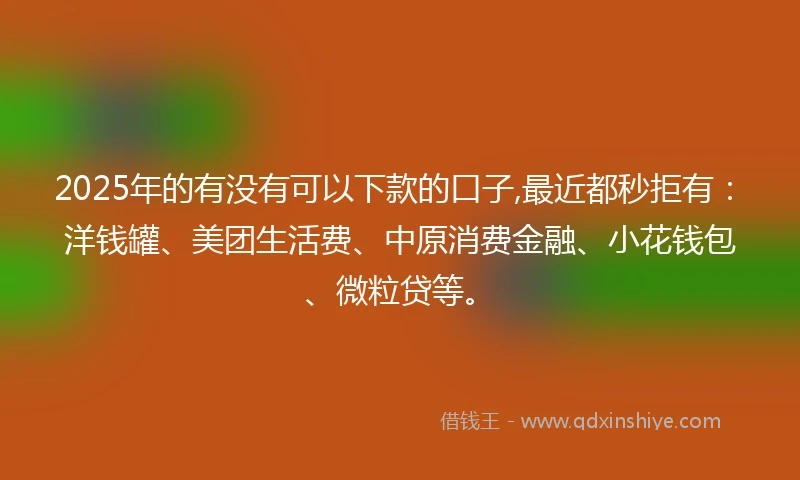 2025年的有没有可以下款的口子,最近都秒拒有：洋钱罐、美团生活费、中原消费金融、小花钱包、微粒贷等。