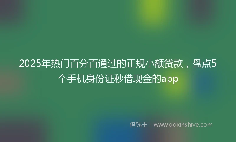2025年热门百分百通过的正规小额贷款，盘点5个手机身份证秒借现金的app