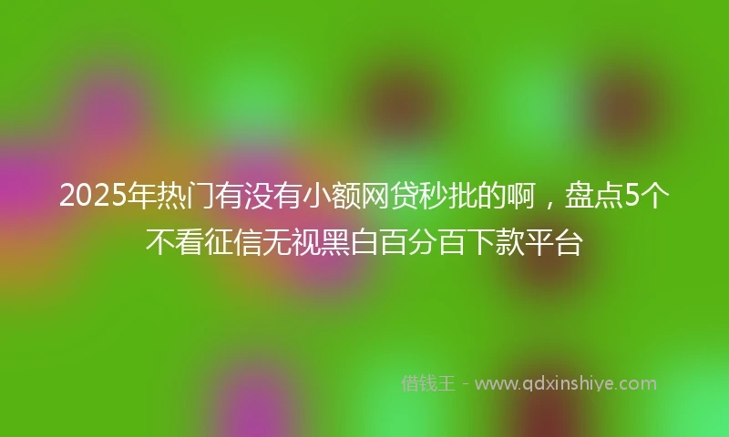 2025年热门有没有小额网贷秒批的啊，盘点5个不看征信无视黑白百分百下款平台