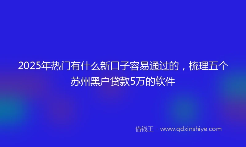 2025年热门有什么新口子容易通过的，梳理五个苏州黑户贷款5万的软件