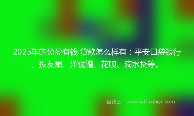 2025年的盈盈有钱 贷款怎么样有：平安口袋银行、投友圈、洋钱罐、花呗、滴水贷等。
