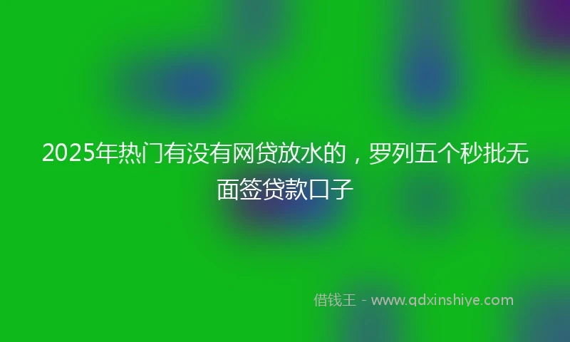 2025年热门有没有网贷放水的，罗列五个秒批无面签贷款口子