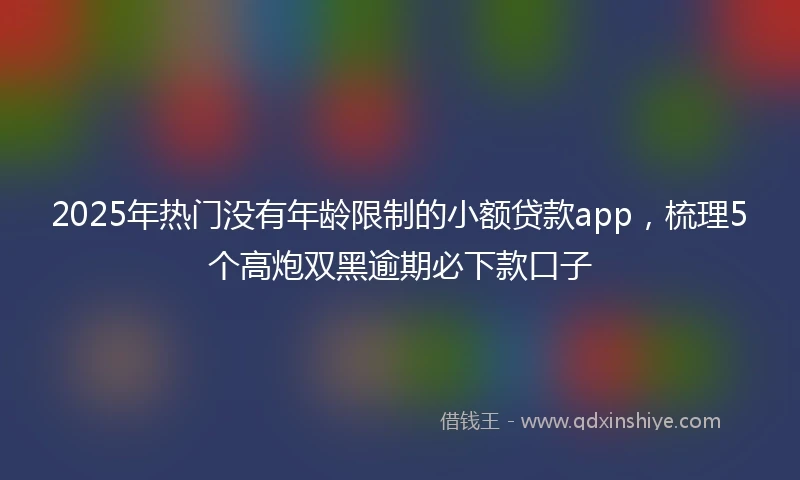 2025年热门没有年龄限制的小额贷款app，梳理5个高炮双黑逾期必下款口子