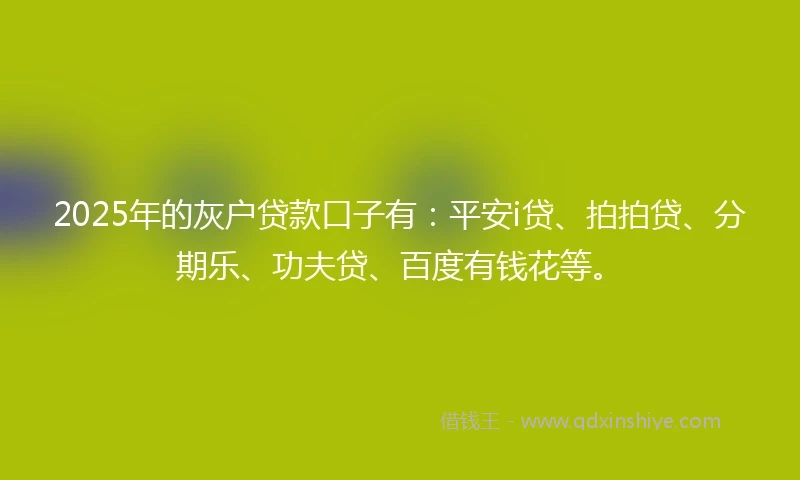 2025年的灰户贷款口子有：平安i贷、拍拍贷、分期乐、功夫贷、百度有钱花等。