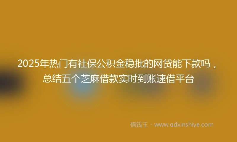 2025年热门有社保公积金稳批的网贷能下款吗，总结五个芝麻借款实时到账速借平台