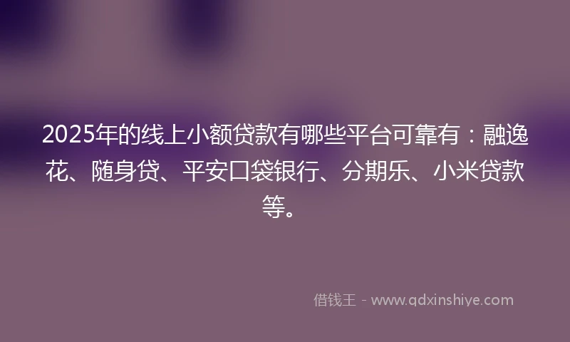 2025年的线上小额贷款有哪些平台可靠有：融逸花、随身贷、平安口袋银行、分期乐、小米贷款等。