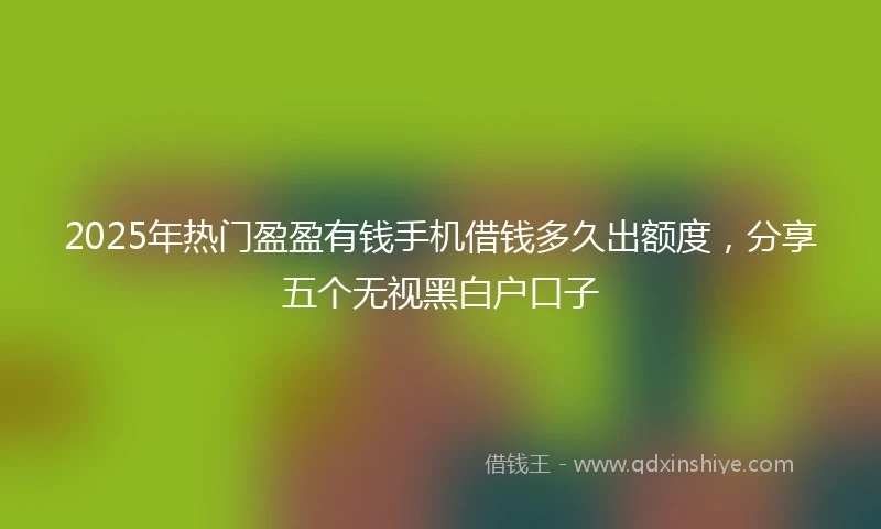 2025年热门盈盈有钱手机借钱多久出额度，分享五个无视黑白户口子