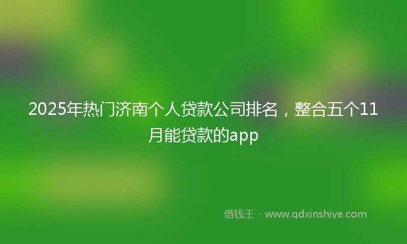 2025年热门济南个人贷款公司排名，整合五个11月能贷款的app