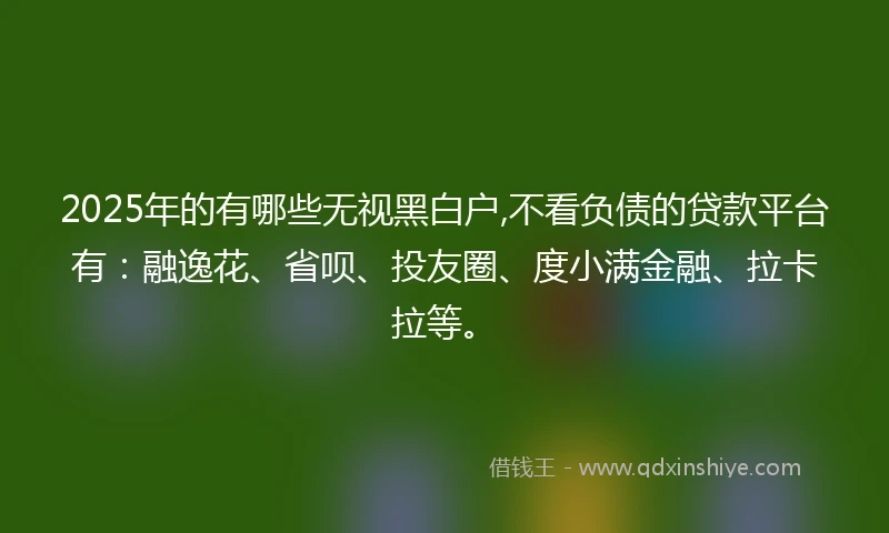 2025年的有哪些无视黑白户,不看负债的贷款平台有：融逸花、省呗、投友圈、度小满金融、拉卡拉等。