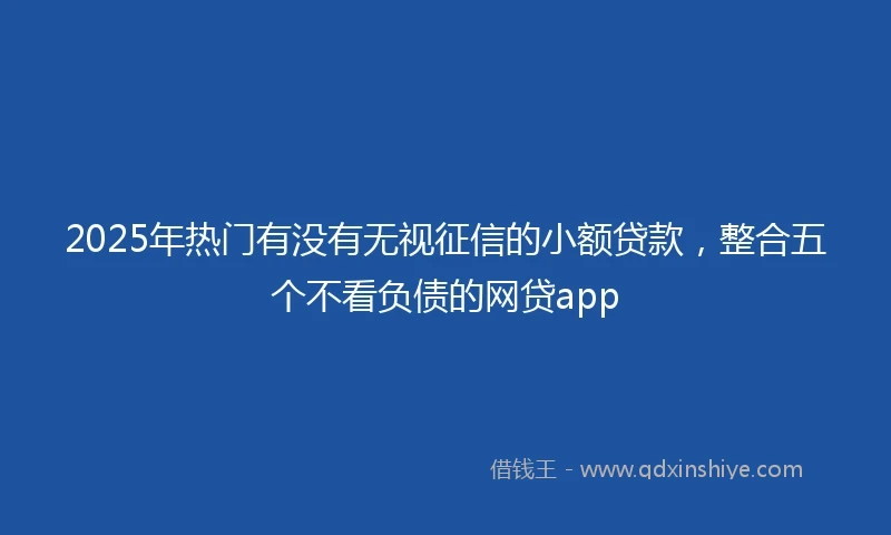 2025年热门有没有无视征信的小额贷款，整合五个不看负债的网贷app