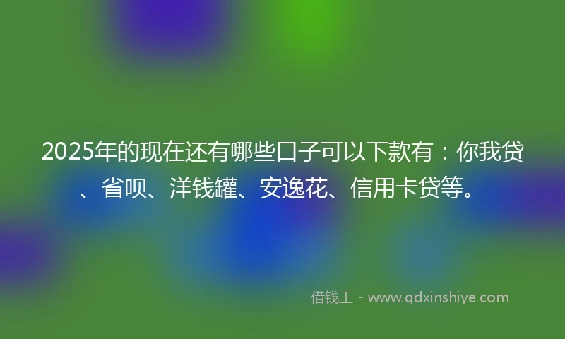 2025年的现在还有哪些口子可以下款有：你我贷、省呗、洋钱罐、安逸花、信用卡贷等。
