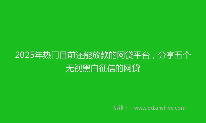 2025年热门目前还能放款的网贷平台，分享五个无视黑白征信的网贷