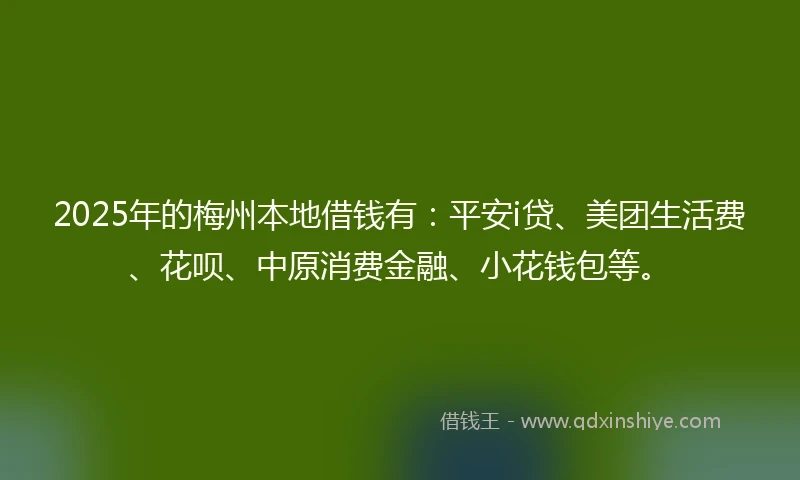2025年的梅州本地借钱有：平安i贷、美团生活费、花呗、中原消费金融、小花钱包等。