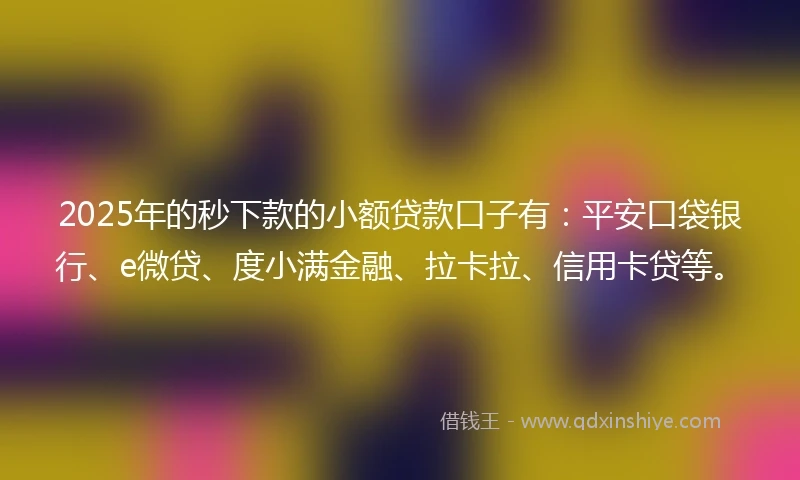 2025年的秒下款的小额贷款口子有：平安口袋银行、e微贷、度小满金融、拉卡拉、信用卡贷等。