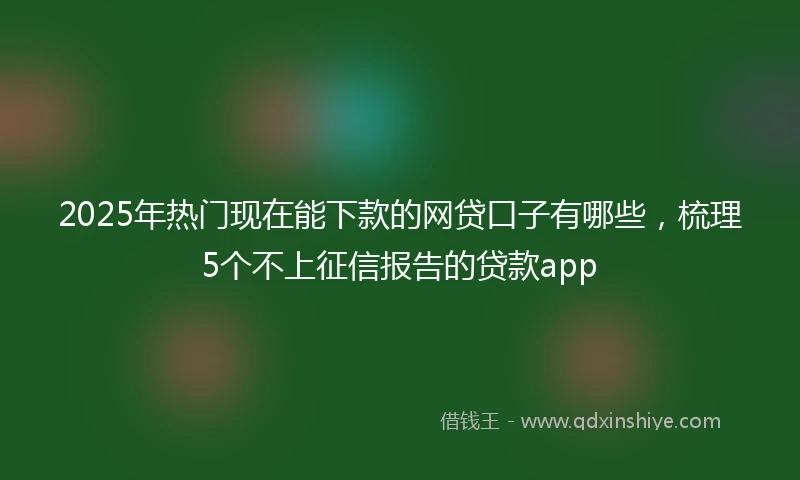 2025年热门现在能下款的网贷口子有哪些，梳理5个不上征信报告的贷款app