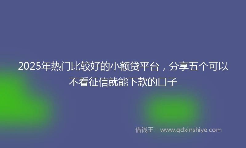 2025年热门比较好的小额贷平台，分享五个可以不看征信就能下款的口子