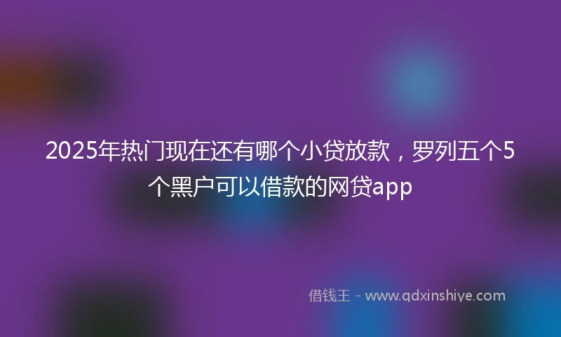 2025年热门现在还有哪个小贷放款，罗列五个5个黑户可以借款的网贷app