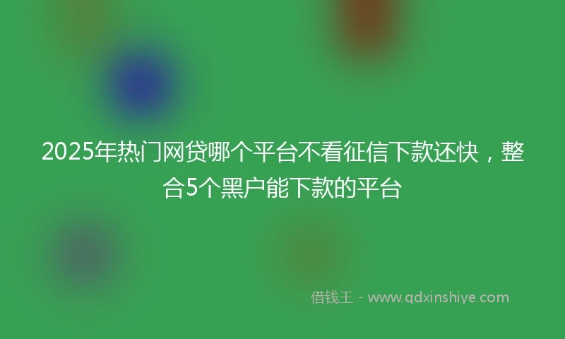 2025年热门网贷哪个平台不看征信下款还快，整合5个黑户能下款的平台