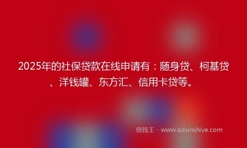 2025年的社保贷款在线申请有：随身贷、柯基贷、洋钱罐、东方汇、信用卡贷等。