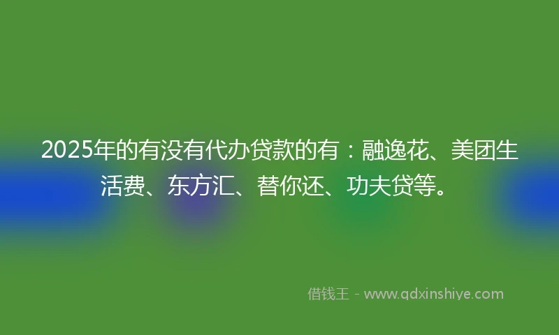 2025年的有没有代办贷款的有：融逸花、美团生活费、东方汇、替你还、功夫贷等。